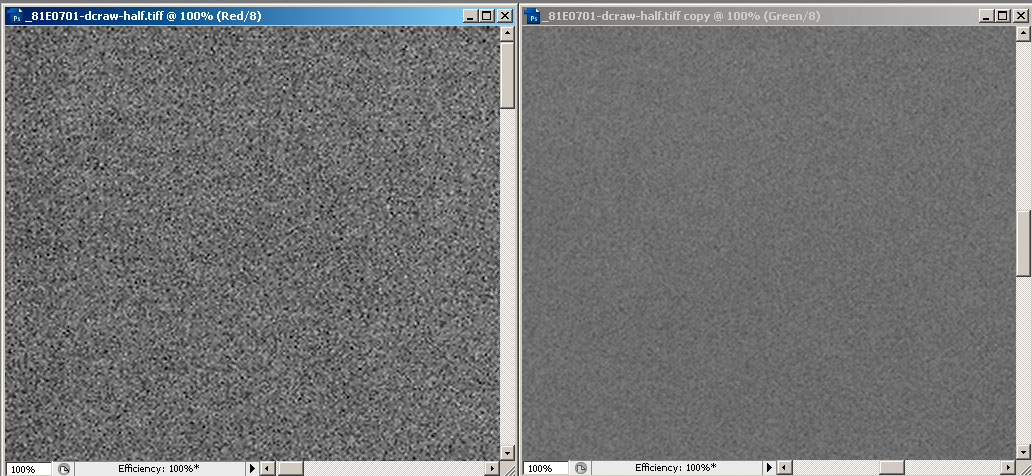 dcraw, half interpolation