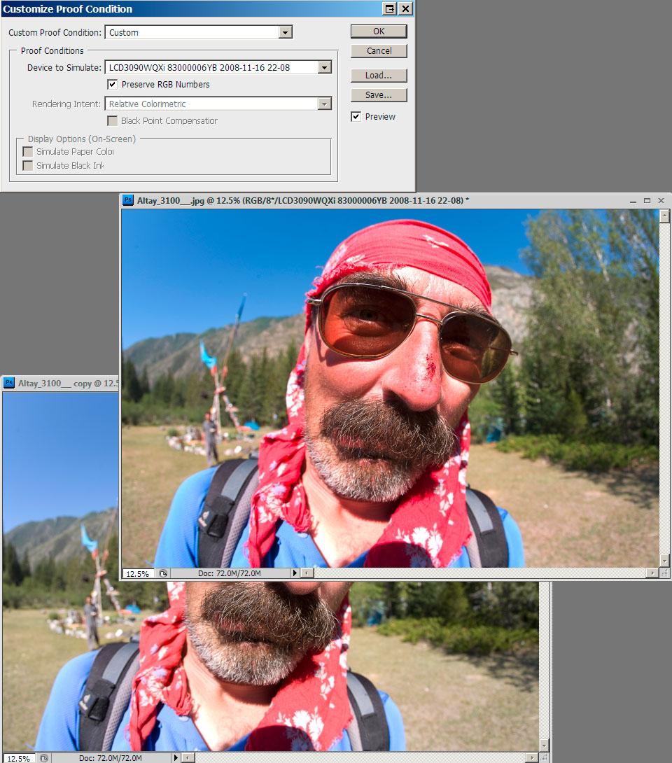 MS IE Emulation