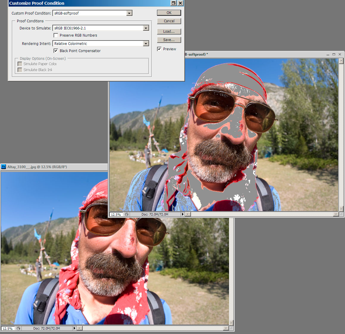 sRGB softproof/Gamut Warning